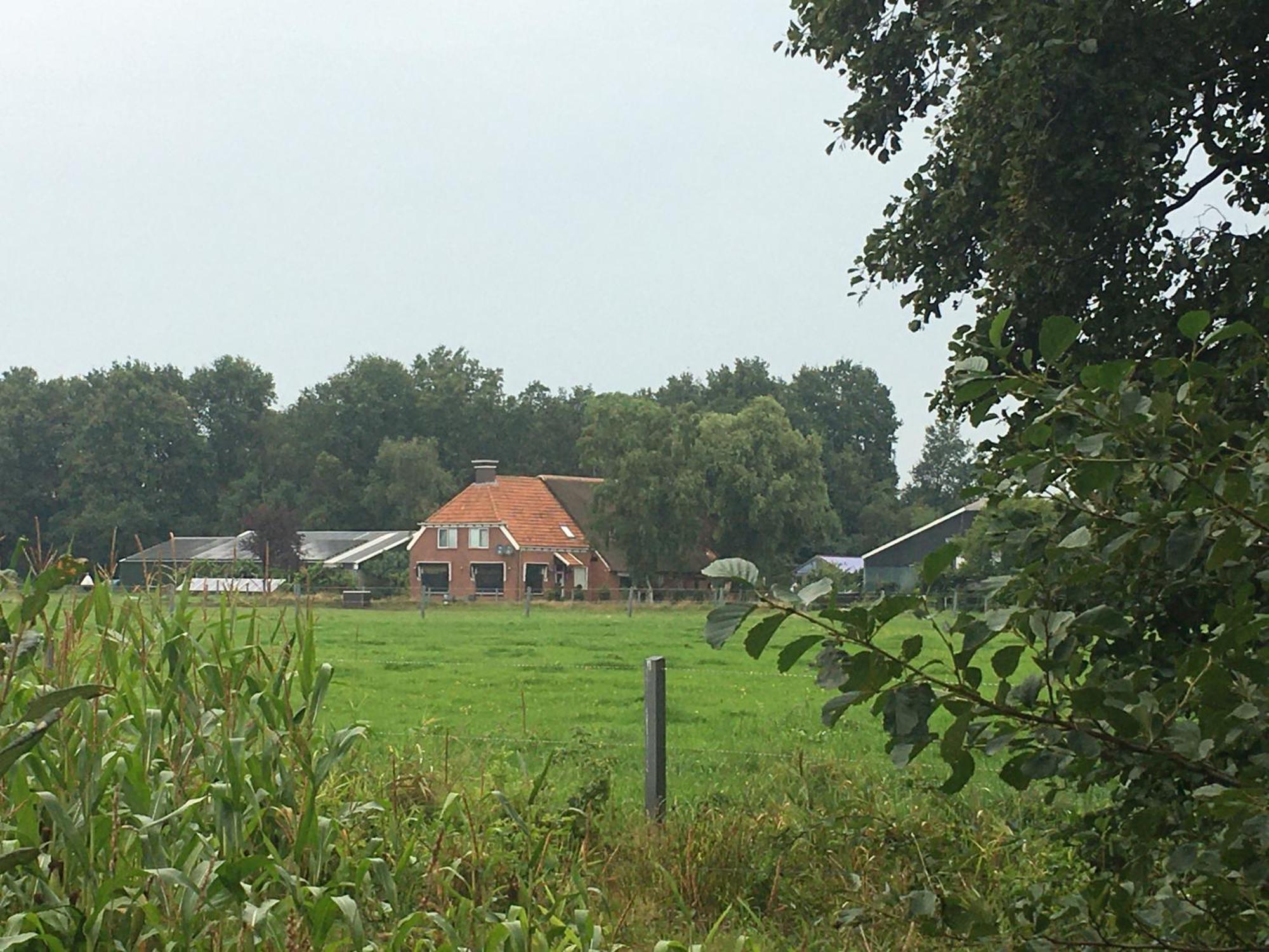 The Black Horse B&B & More Drachten Εξωτερικό φωτογραφία