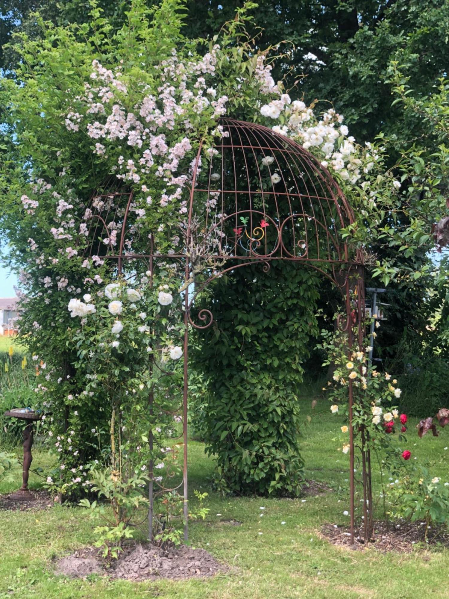 The Black Horse B&B & More Drachten Εξωτερικό φωτογραφία