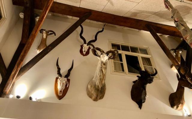 The Black Horse B&B & More Drachten Εξωτερικό φωτογραφία