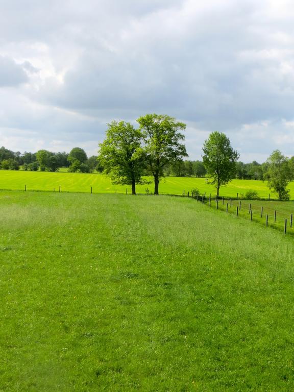 The Black Horse B&B & More Drachten Δωμάτιο φωτογραφία